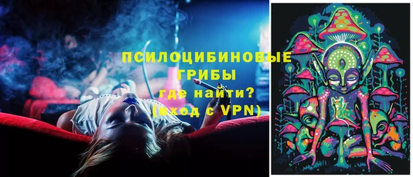 спиды Аркадак