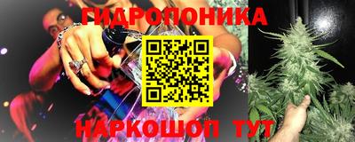 a pvp Севастополь
