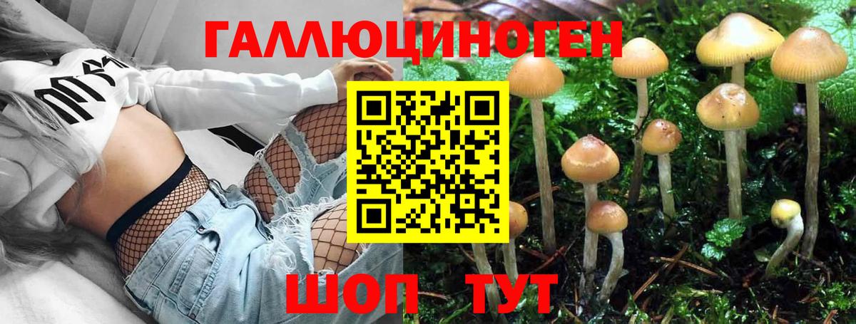 Сибай  Псилоцибиновые грибы ЛСД  Вход с VPN  Галлюциногенные грибы Cubensis 