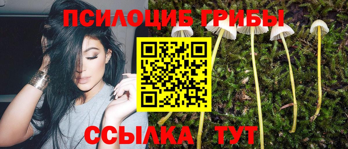 Галлюциногенные грибы мицелий Сибай